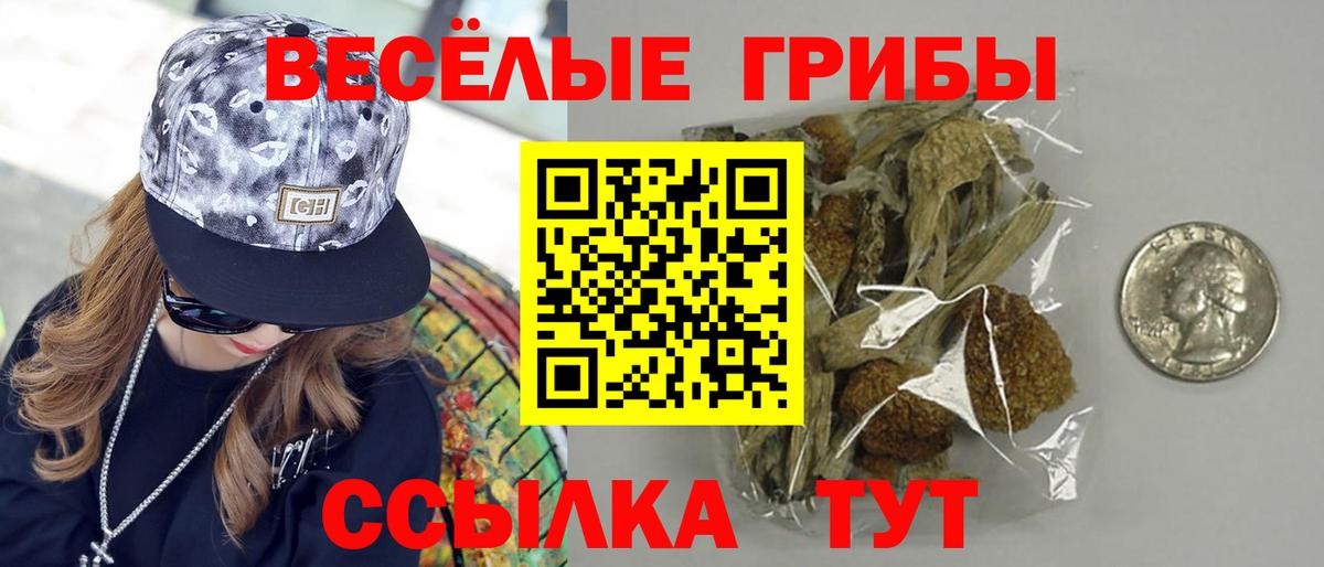 Псилоцибиновые грибы ЛСД Кулебаки